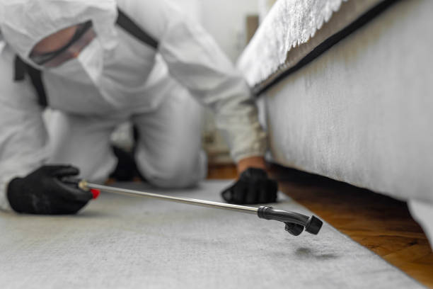 Professional Pest Control technician working in Oak Point, TX
