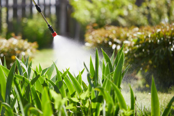 24/7 Emergency Pest Control experts in Oak Point, TX